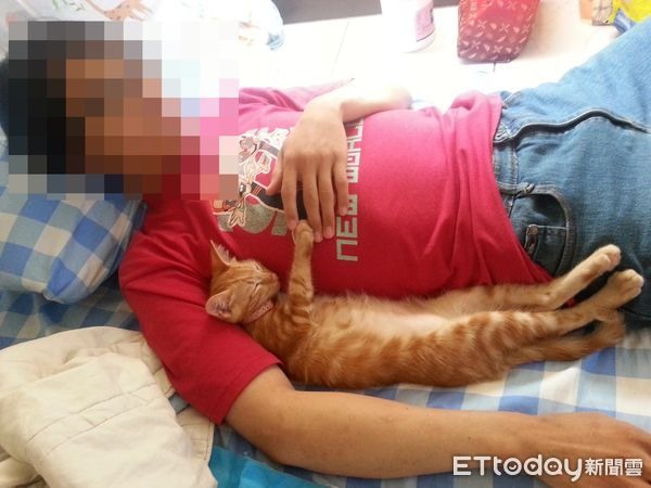 吼半天找不到貓抬頭見「不屑凝視目光」氣炸奴才：一直看我耍笨