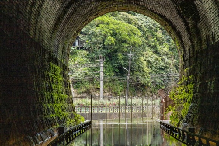 鏡面隧道美如畫！新北神隱少女夢幻自行車道美景平日免預約