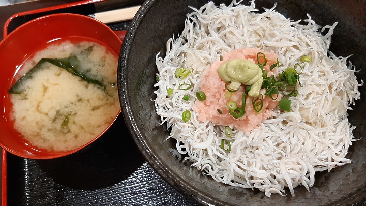 2023 日本東京 8天7夜 (2023/4/23 ~ 4/30) 4/25 第三天 鐮倉江之電車+鐮倉大佛+灌籃高手平交道