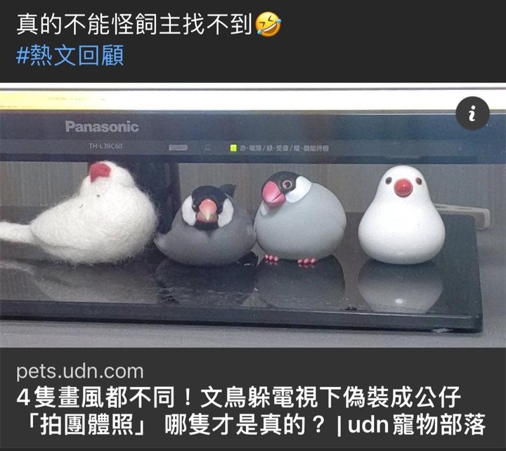 我們之中出了一個叛徒