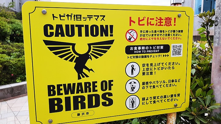 2023 日本東京 8天7夜 (2023/4/23 ~ 4/30) 4/25 第三天 鐮倉江之電車+鐮倉大佛+灌籃高手平交道