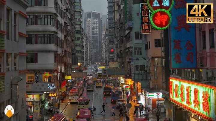2023中國閩粵港澳背包獨遊28天