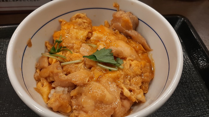 2023 日本東京 8天7夜 (2023/4/23 ~ 4/30) 4/25 第三天 鐮倉江之電車+鐮倉大佛+灌籃高手平交道