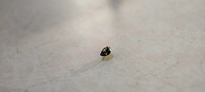 請問有人知道這種水中小生物嗎？
