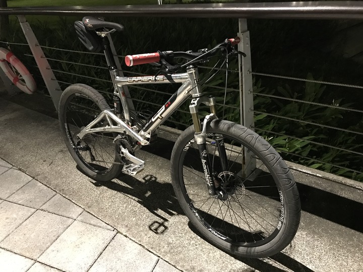 [單車記憶] 多連桿的王者 2004 Lapierre X-Control PRO SL