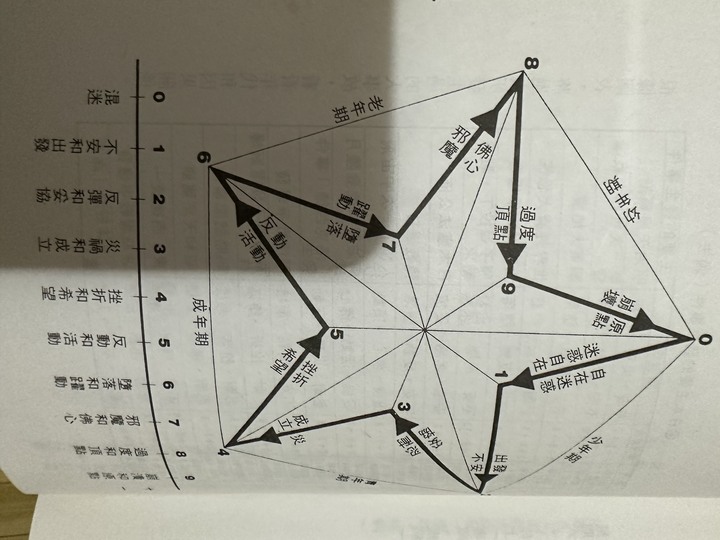 特斯拉電動馬達的鋼片打孔為什麼用六芒星不要用五芒星