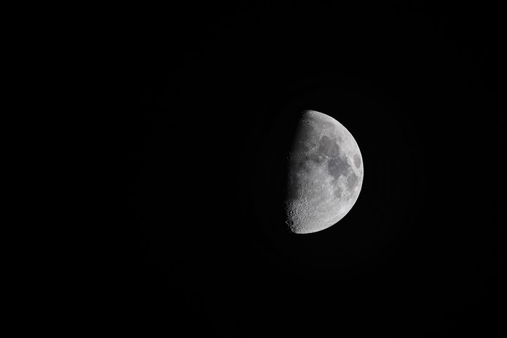 不專業Canon R6 M2 + RF 100-500mm f4.5-7.1L IS USM + RF 2X Extender 試拍
