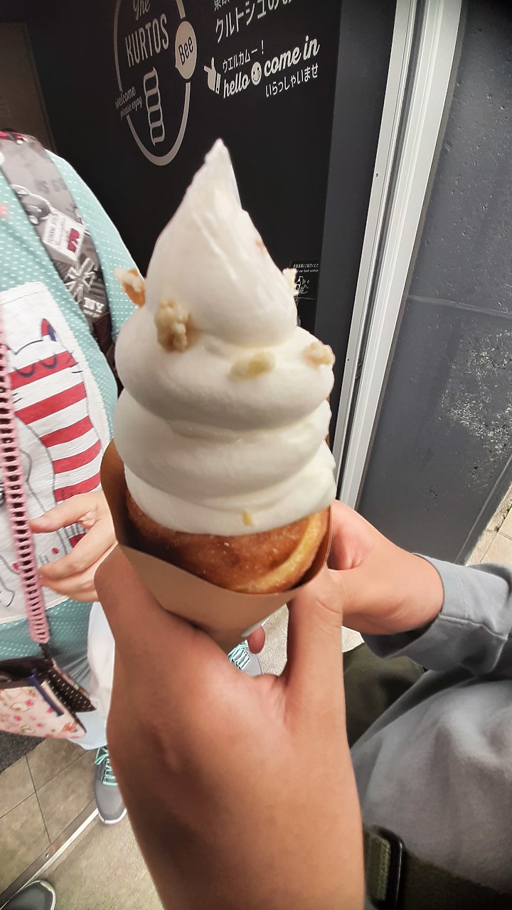 2023 日本東京 8天7夜 (2023/4/23 ~ 4/30) 4/25 第三天 鐮倉江之電車+鐮倉大佛+灌籃高手平交道