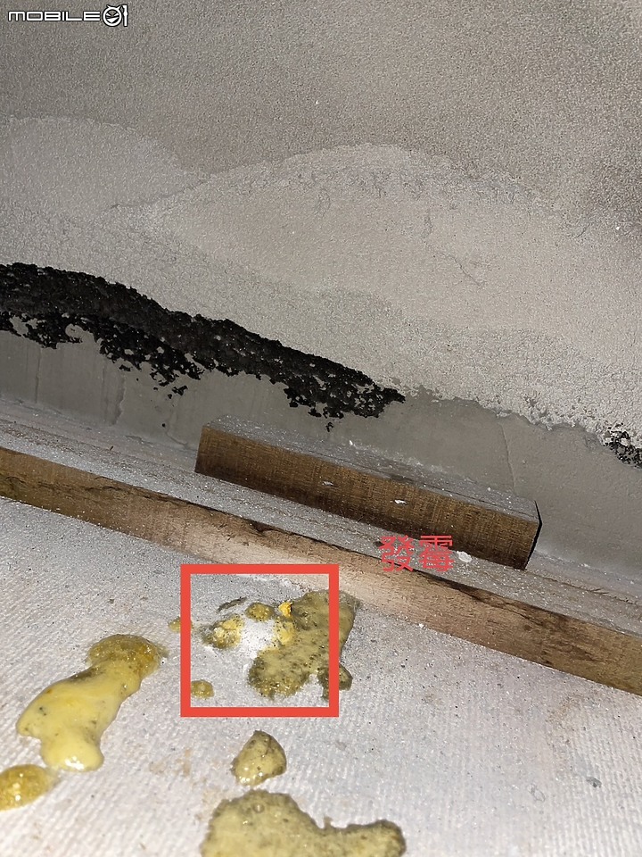 新北林口建案住戶投訴衛浴天花板漏水導致發霉
