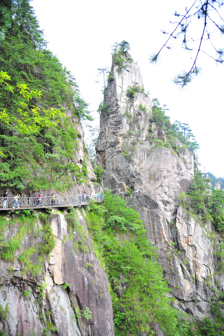浙江臨安大明山