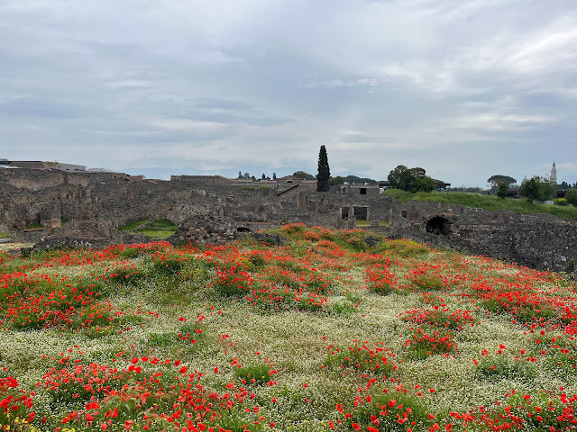 2023歐遊美術館40天 - 第8天 - 與古城龐貝 (Pompeii) 和美麗的拿坡里 (Napoli)地鐵站相遇!