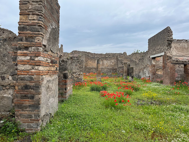 2023歐遊美術館40天 - 第8天 - 與古城龐貝 (Pompeii) 和美麗的拿坡里 (Napoli)地鐵站相遇!