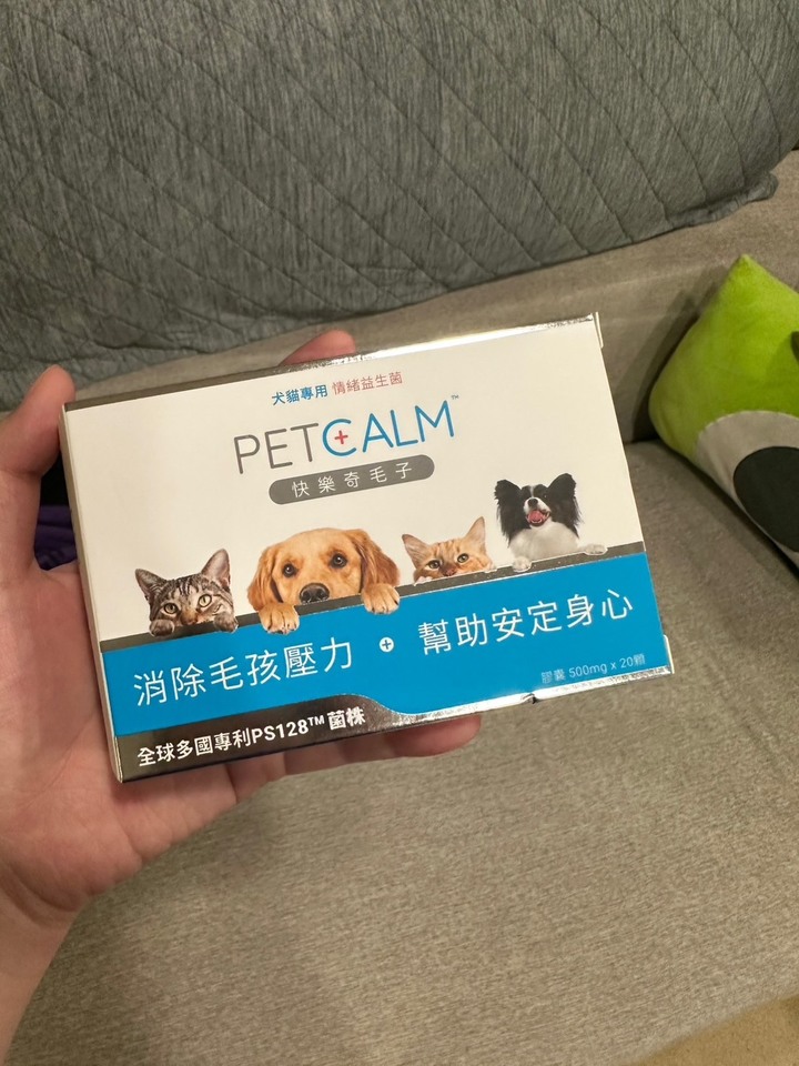 焦慮貓貓接觸益生菌後的進化史