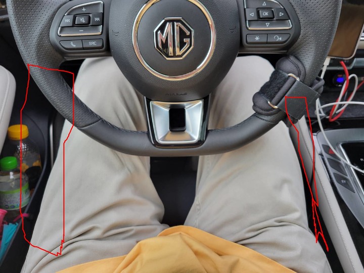 點我看大圖 我的插電油電混合車 MG PHEV