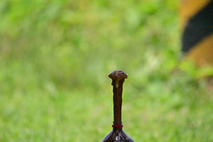 Nikon Z9自動捕捉可口可樂加曼陀珠