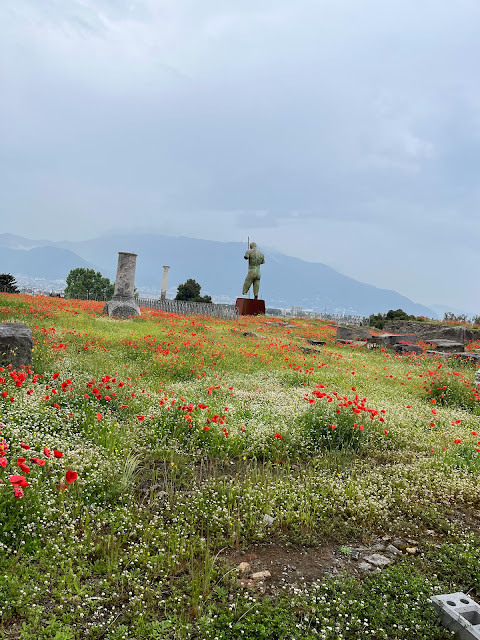 2023歐遊美術館40天 - 第8天 - 與古城龐貝 (Pompeii) 和美麗的拿坡里 (Napoli)地鐵站相遇！