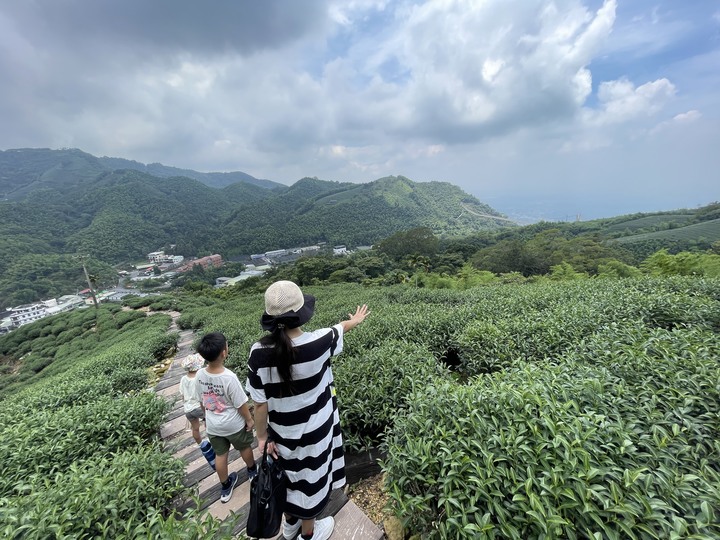 夏日露營，高海拔營區