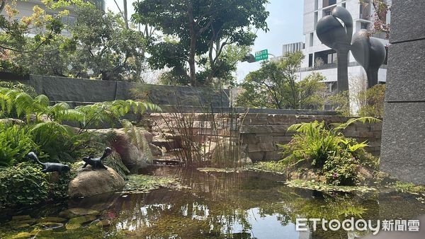 台中隱富區驚見「綠抽屜大樓」建商曝：光植栽就花5千萬