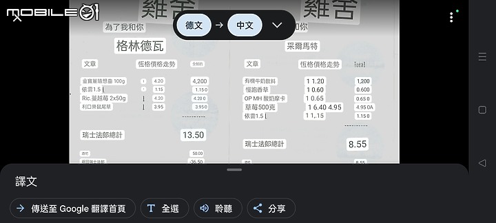瑞士-阿雷奇冰河小鎮+指南(開聲音)