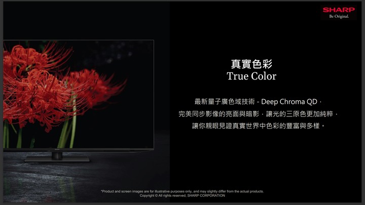【前所未有的影音饗宴！】SHARP AQUOS XLED 4K 智慧聯網電視－新品實機體驗！
