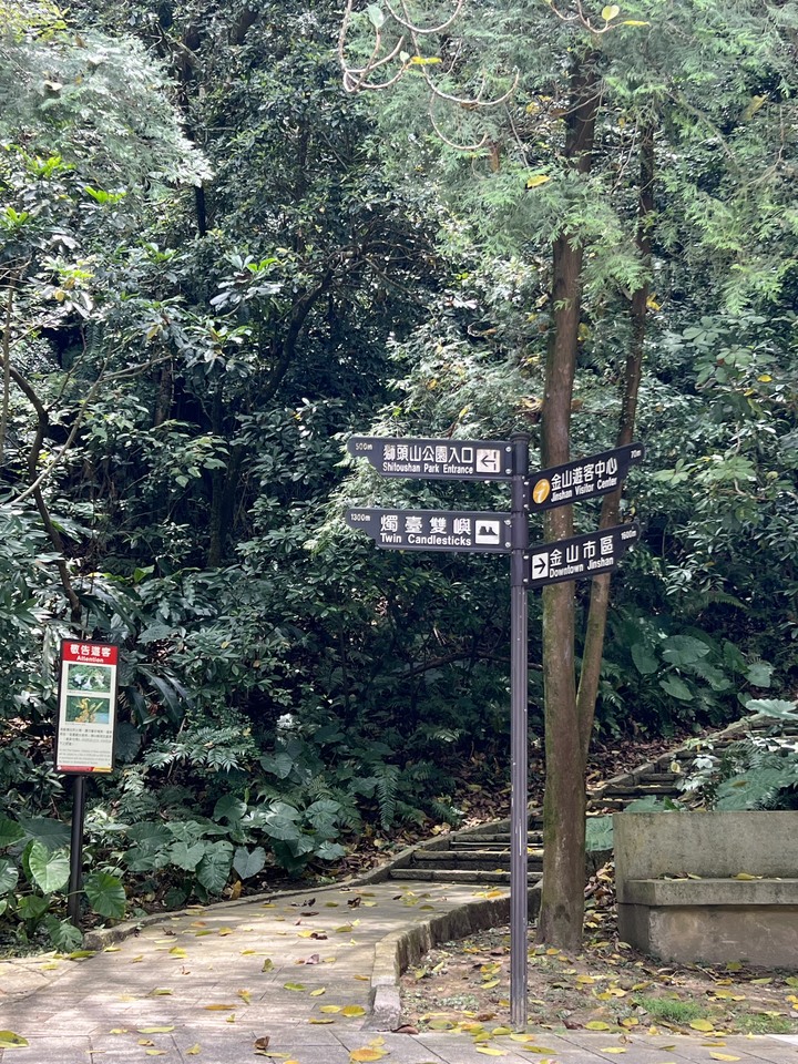 除了金山鴨肉