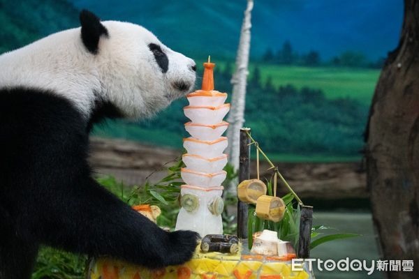「圓仔」10歲生日成長回顧片曝手滑推倒特製101蛋糕萌翻粉絲