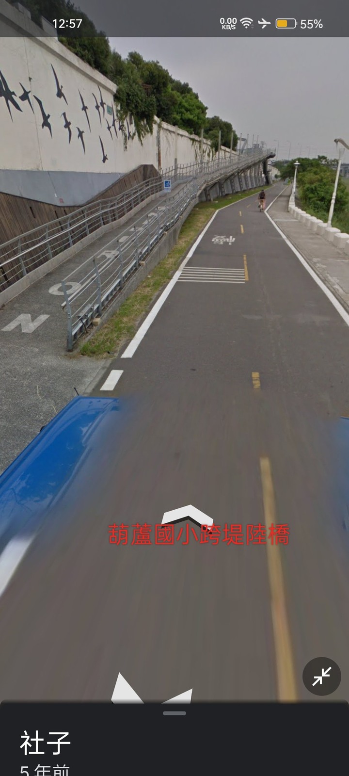 淡水河河濱跨堤陸橋到葫蘆國小入口照片嗎