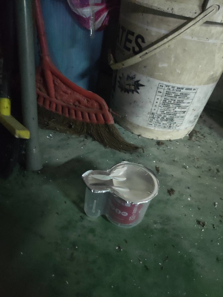 停車場除蟑心得分享