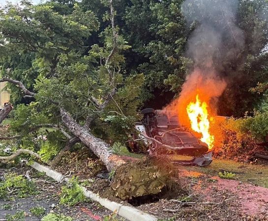139縣道狂飆過彎撞路樹，百萬跑車噴火狂燒，駕駛送醫