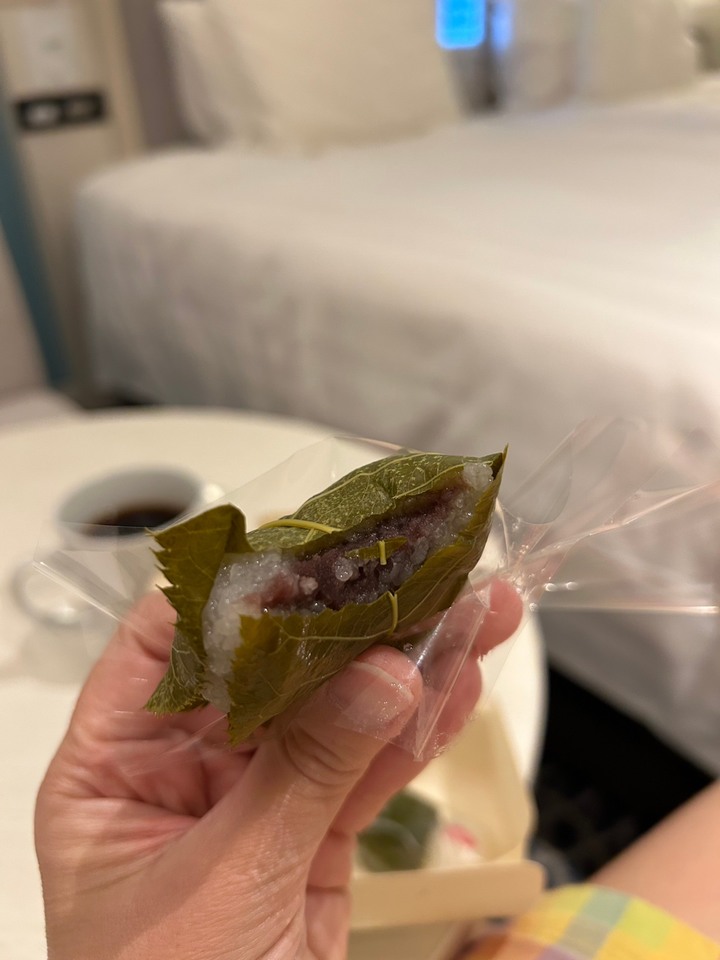 京都大阪摘星宇🌸STARLUX櫻花季初體驗🌸