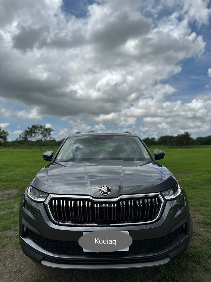 MY Skoda Kodiaq (不一樣的開箱-圖多+心得) 有功能使用心得與分析