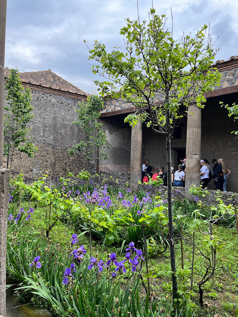 2023歐遊美術館40天 - 第8天 - 與古城龐貝 (Pompeii) 和美麗的拿坡里 (Napoli)地鐵站相遇!