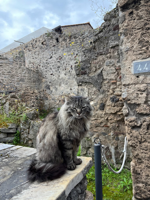 2023歐遊美術館40天 - 第8天 - 與古城龐貝 (Pompeii) 和美麗的拿坡里 (Napoli)地鐵站相遇！
