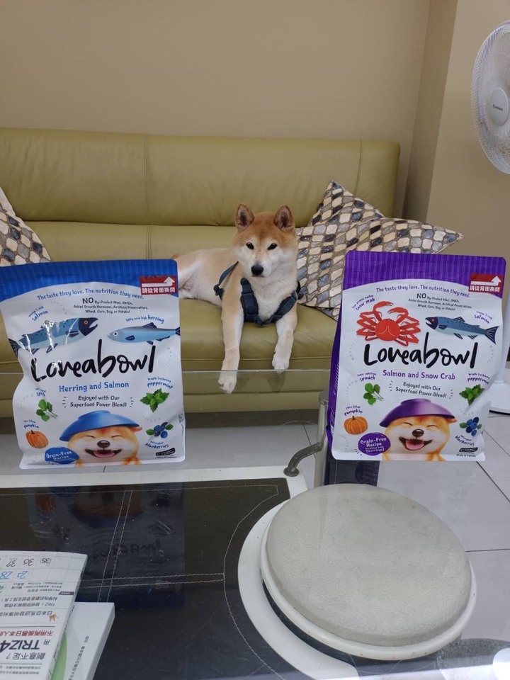 [分享] 寵物飼料開箱｜囍碗無穀天然糧｜柴犬弟弟