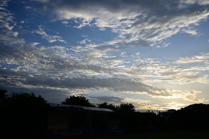 開箱~Nikon Z DX24mm f1.7~(圖多慎入!!)