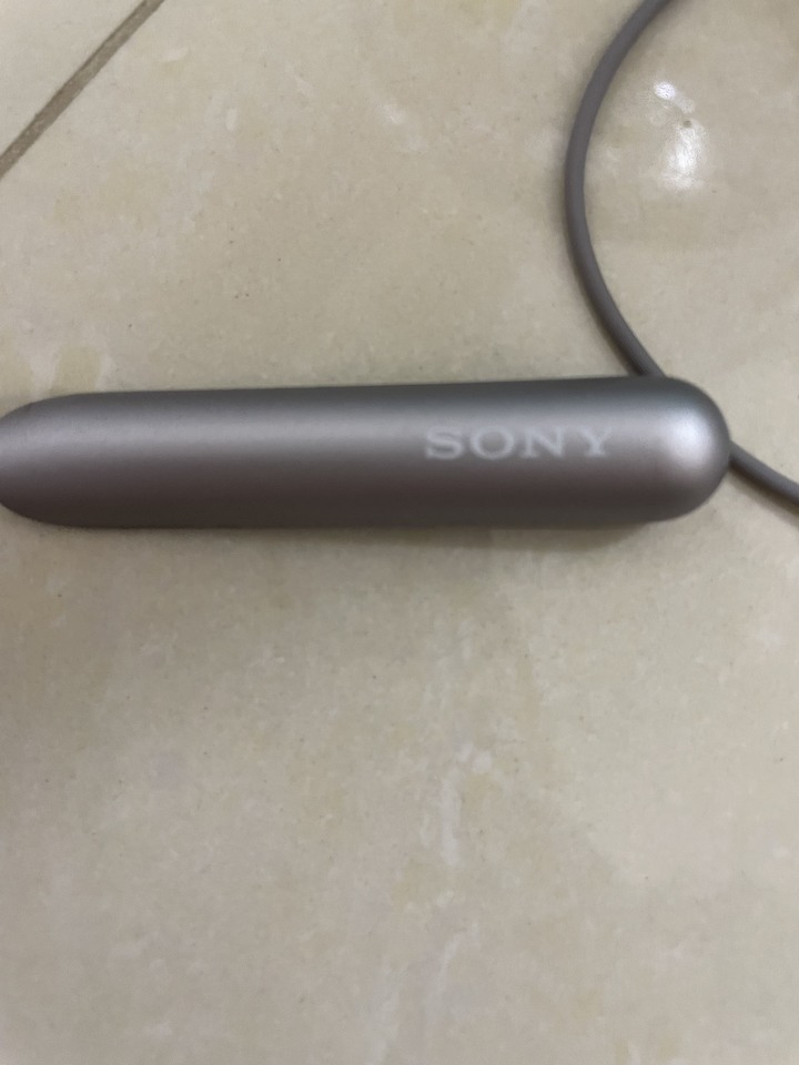 Sony WI-C600N藍芽耳機壞了