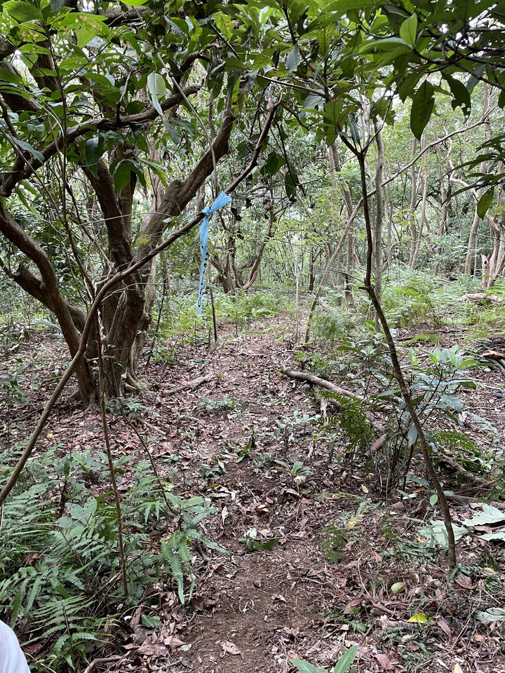 萬全的準備才能快樂上山安全回家-GARMIN登山活動