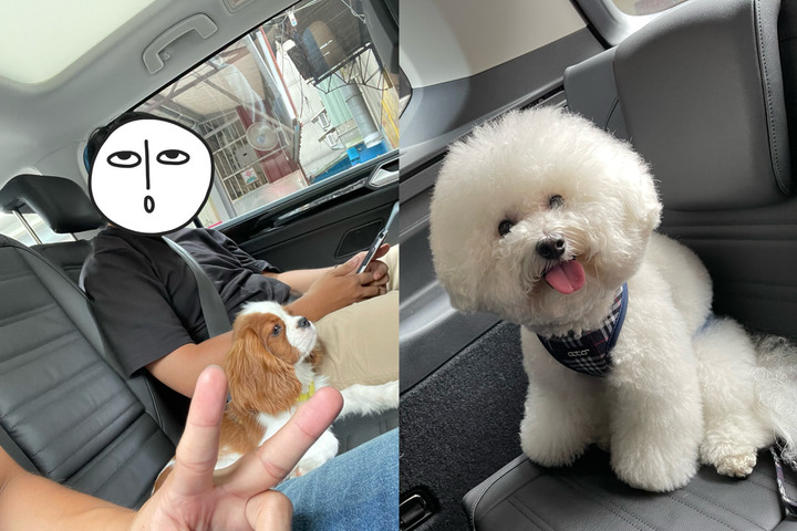 實用又帥氣的家庭用車-Touran 280 TSI Style R-Line