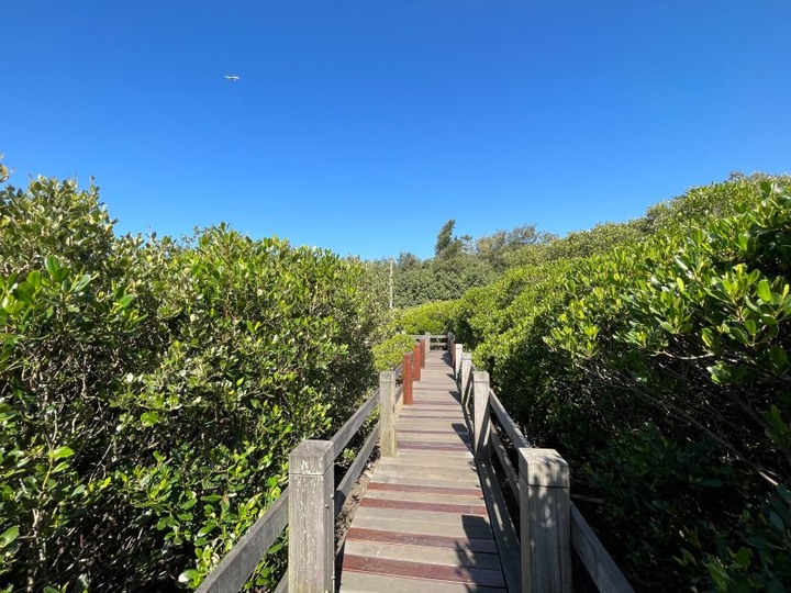 新竹打卡新地標！賞景吃美食兩不誤 西濱公路新豐休息站現身