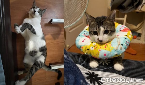 遊戲玩一半！螢幕後出現「4D暗黑破壞神」他抖：創角就遇到BOSS