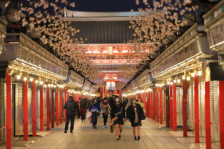 (映像分享) 競速追焦、手持夜拍，信手拈來in日本東京、橫濱、靜岡 feat. Canon EOS R6 Mark II