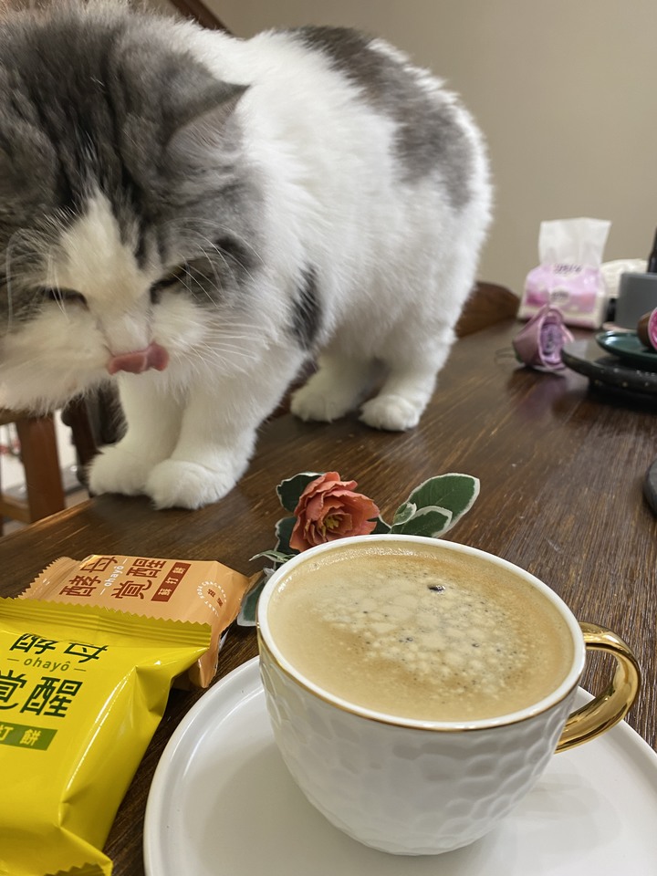 淺談雀巢多趣酷思膠囊咖啡機使用心得