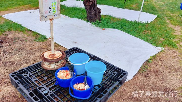 東北@福島親子旅遊｜30分鐘放題。水蜜桃吃到飽