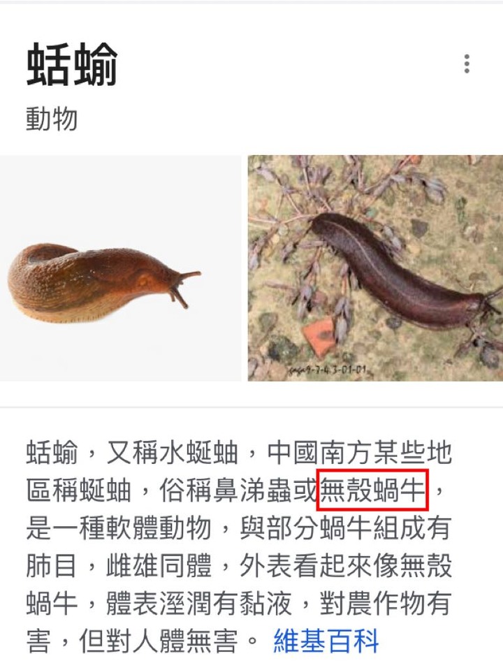蝸牛跟蛞蝓=有房跟無房?