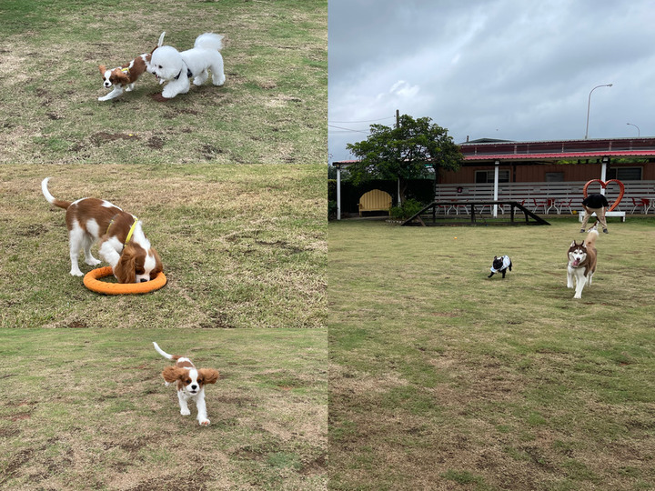 實用又帥氣的家庭用車-Touran 280 TSI Style R-Line