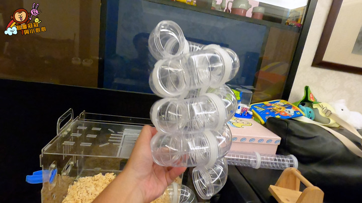 買了好多倉鼠隧道來改造他的家