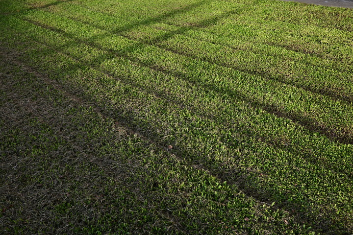 開箱~Nikon Z DX24mm f1.7~(圖多慎入!!)