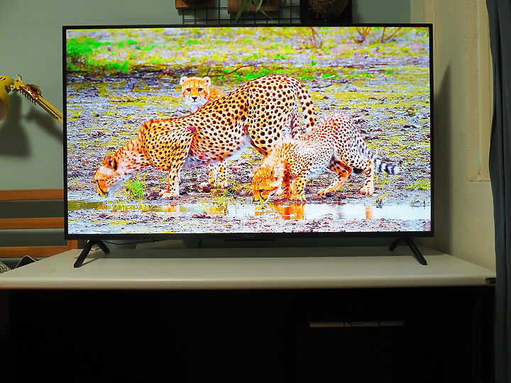 Panasonic TH-55MX800W 4K HDR智慧顯示器試用 6原色技術加持的極緻色彩呈現