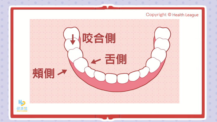 ★圓圓貓實測開箱 ★牙齒的健康保健員Bioniq® 貝歐尼 修復牙膏