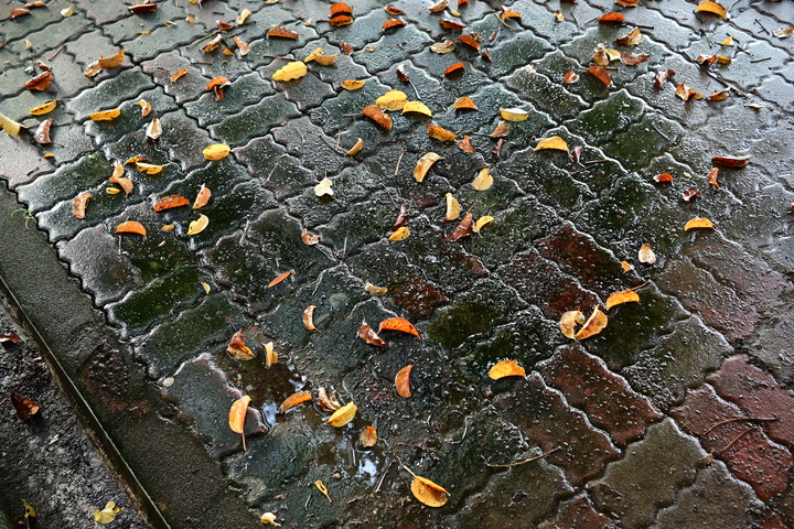 開箱~Nikon Z DX24mm f1.7~(圖多慎入!!)